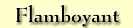 flamboyant
